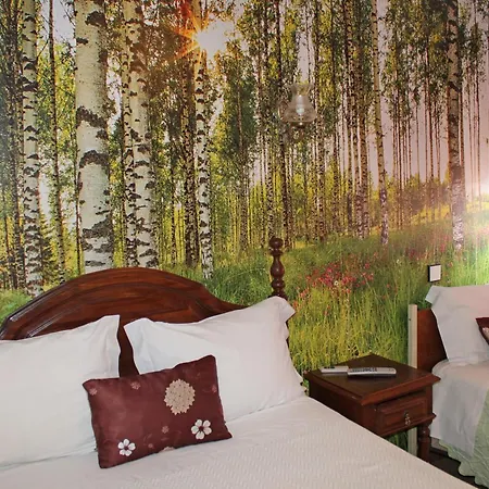 Pensão França 2* Oporto