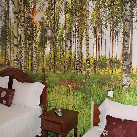 Guest house Pensao Franca 2*