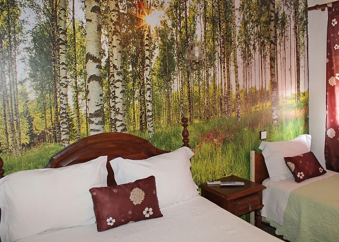 Guest house Pensao Franca Porto