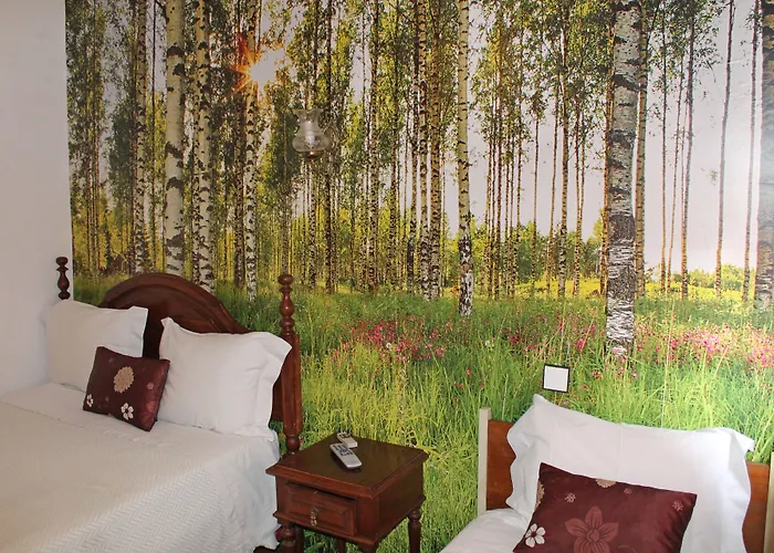 Guest house Pensao Franca 2*